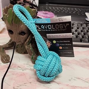 PLAYOLOGY Toys That Makes Scents To Dogs 1 Small  KNOTTED ROPE Chew NIP
